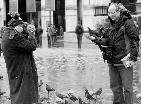 Pic of the day: feeding the pigeons, Trafalgar Square