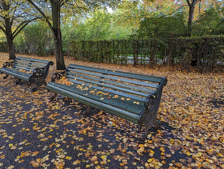 In photos: the beautiful yellows and browns of Regent's Park in autumn