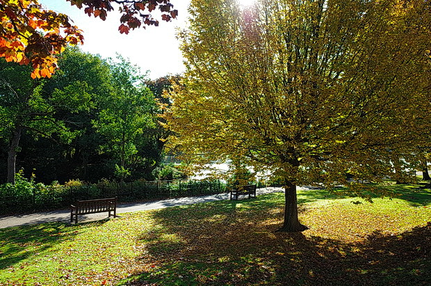 A sunny Autumnal afternoon at Roath Park, Cardiff – in photos