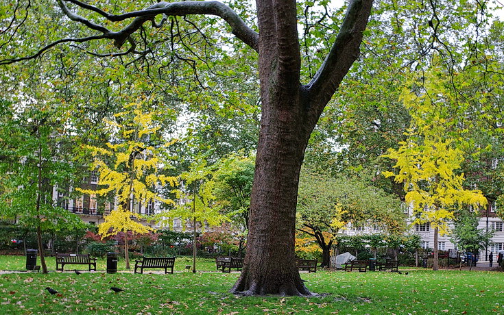 In photos: Tavistock Square - a public park in the heart of Bloomsbury, London