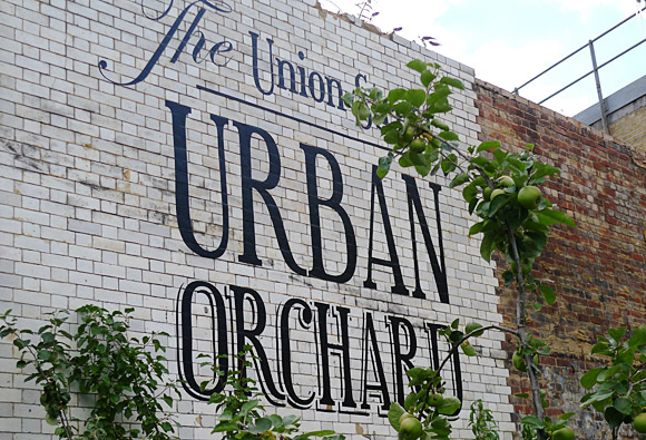 Urban Orchard, 100 Union Street, London SE1 part of London Festival of Architecture