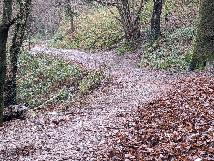 A rainy, damp but delightful Christmas Day walk through the deserted Wenallt Woods, north Cardiff