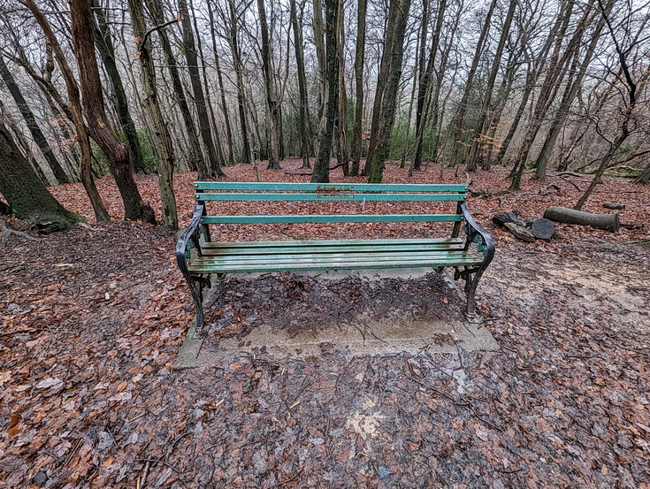 A rainy, damp but delightful Christmas Day walk through the deserted Wenallt Woods, north Cardiff