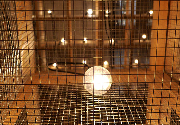 Whitechapel Gallery - buzzing light bulbs and coffee