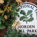 A walk around the lovely Morden Hall Park, south London