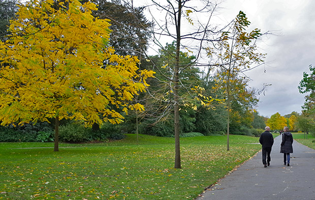 Autumn in Regent's Park, central London
