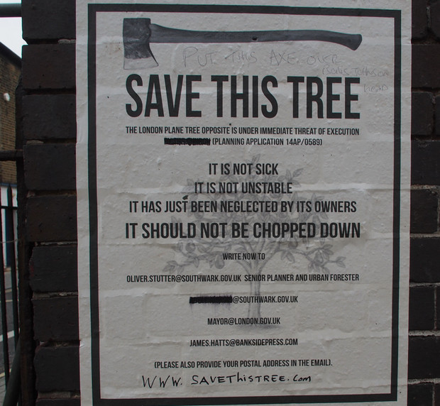Save This Tree campaign battles to keep a fine London Plane from the axe