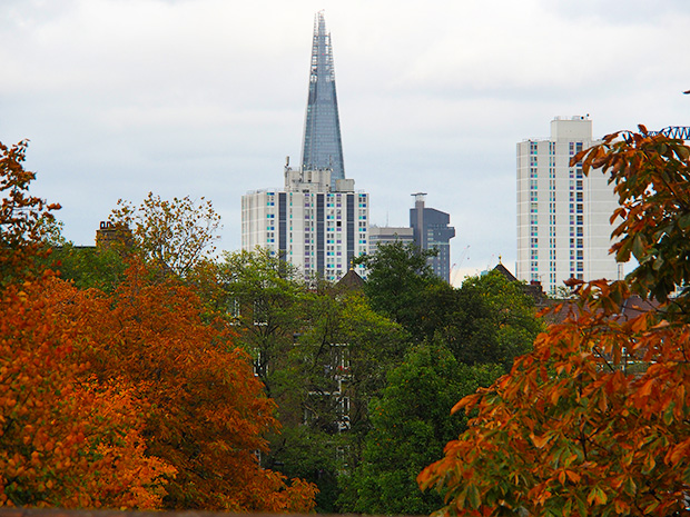 The reds and browns of London in Autumn