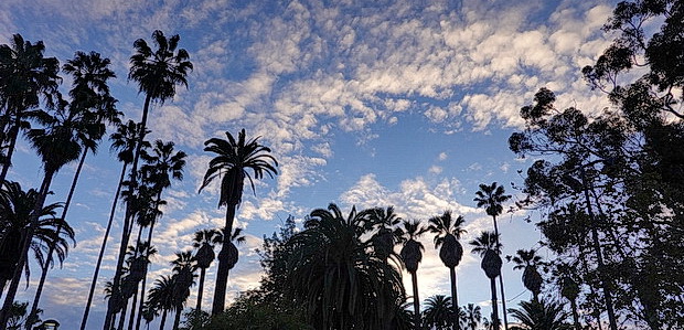 In photos: Echo Park, Los Angeles, in the dying light of day