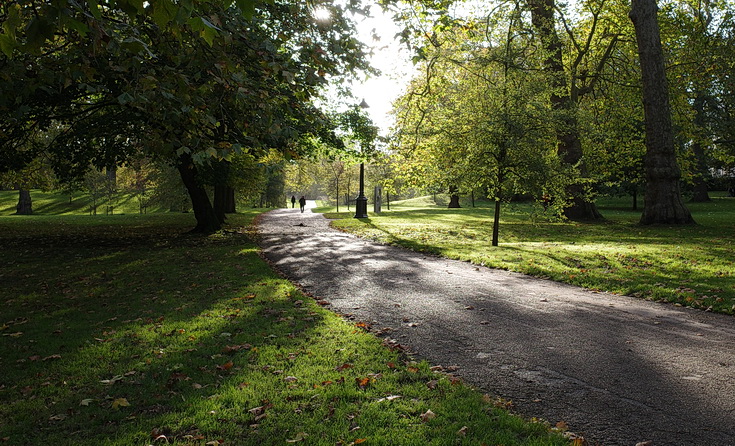 Autumn takes over in London's Green Park- 18 photos shot with Ricoh GRiii camera