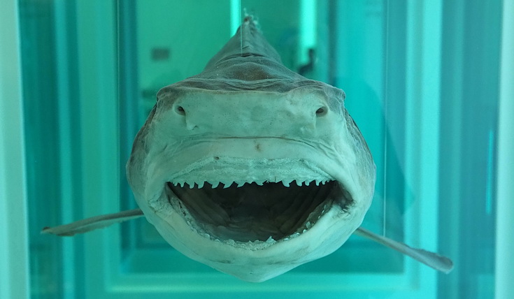 Damien Hirst - End Of A Century, fascinating free exhibition at the Newport Street Gallery, London