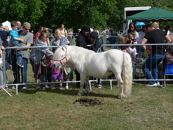 Photos of Lambeth Country Show, Brockwell Park, Herne Hill near Brixton, London, England 17th-18th July 2010