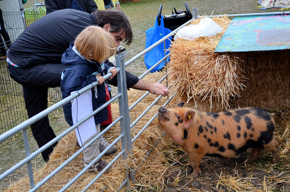 Photos of Lambeth Country Show, Brockwell Park, Herne Hill, London 16th-17th July 2011