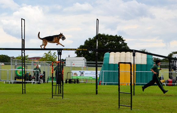 Photos of Lambeth Country Show, Brockwell Park, Herne Hill, London 16th-17th July 2011