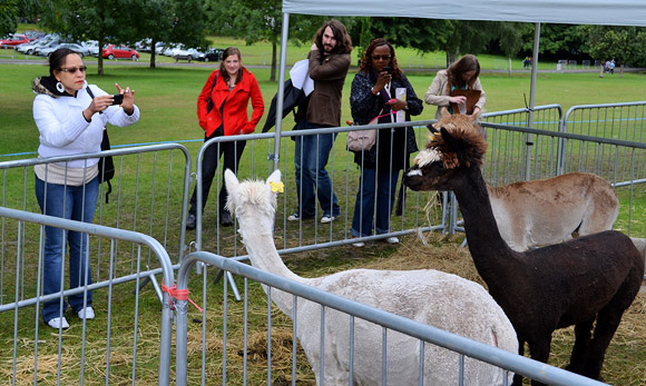Photos of Lambeth Country Show, Brockwell Park, Herne Hill, London 16th-17th July 2011