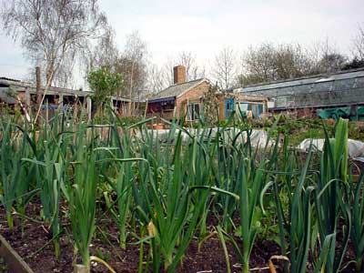 Community Garden centre, Brockwell Park, Herne Hill