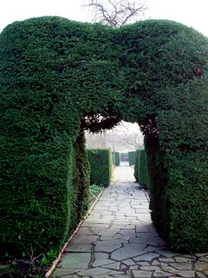 Secluded garden, Brockwell Park, London SW9