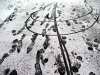 Snow footsteps, Brixton, London
