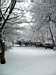 Loughborough park in the snow, Brixton, London