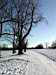Brockwell park in the snow, Herne Hill, Brixton, London