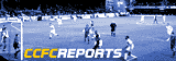 Cardiff City FC - reports and rants