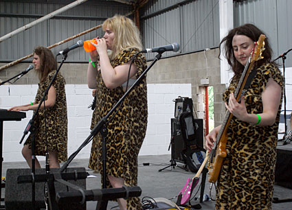 Indietracks indiepop festival, Midland Railway, Butterley and Swanwick, England, July 2008