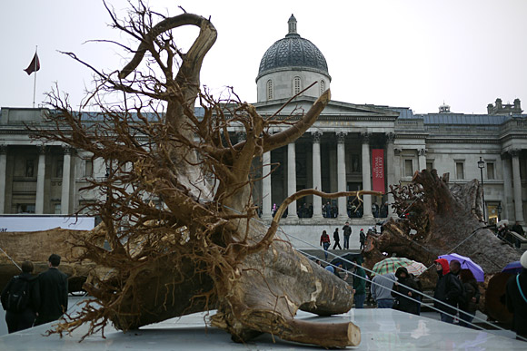 The Ghost Forest art installation, Trafalgar Square, central London, November, 2009