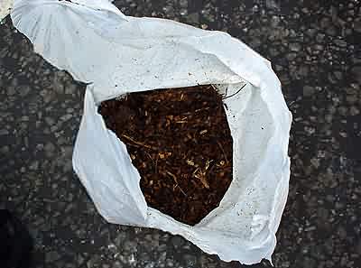 Mayday 2K: The famous lion dung!