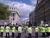 mayday09.jpg