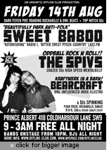 Sweet Baboo, The Spivs and Bearcraft at Offline at the Brixton Prince Albert, London SW9 Fri 14th Aug 2009