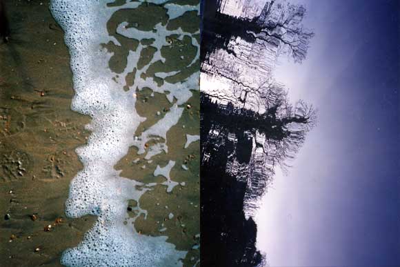 Beach, St Ives, Cornwall; Reflected tree, Norfolk Broads