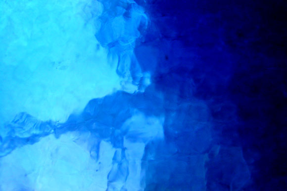 Blue bottle against the sun, Spring 2002