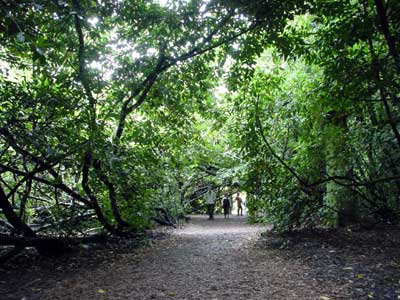 Walking through the Gardens, Big Chill