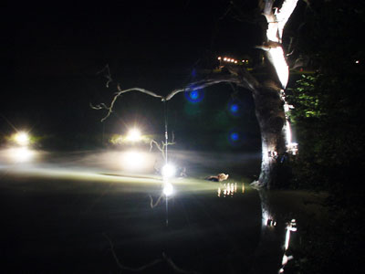 Mirrorball and lake, Big Chill festival, Eastnor Castle