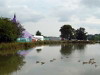 Big Chill festival 2004, Eastnor Castle