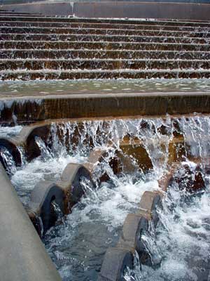 Victoria Square fountains, detail