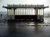Shelter Brighton