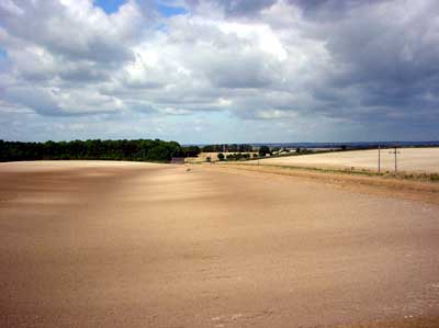 View from a train, Cambridgeshire