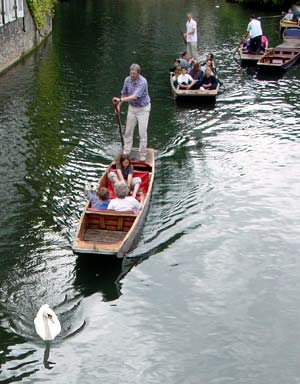 Swan and punt, Cambridge, England
