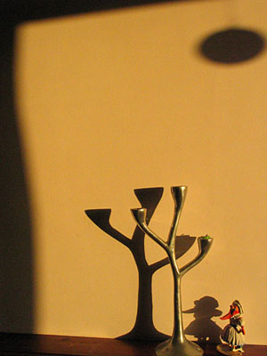 urban75 photo competition, winning photograph
