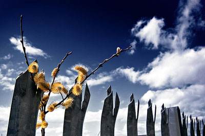 urban75 photo competition, winning photograph