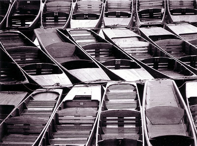 urban75 photo competition, winning photograph