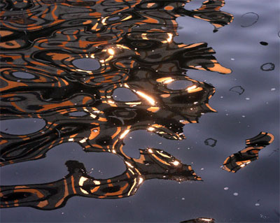 urban75 photo competition, winning photograph