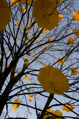 urban75 photo competition, winning photograph