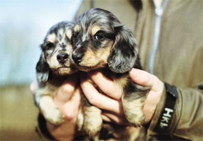 urban75 photo competition, winning photograph