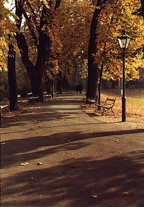 Vienna, park