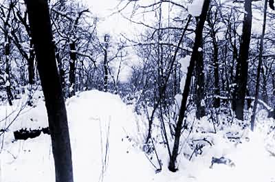 Winter at Cefn Onn, Wales