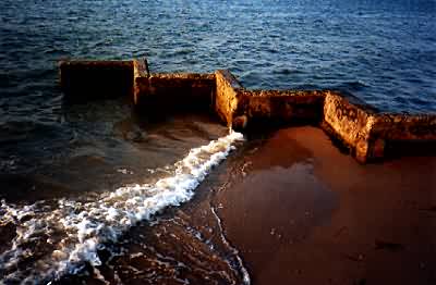 evening sun, Isle of Wight 