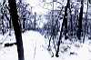 Snow, Cardiff