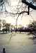 Frozen lake, Chicago